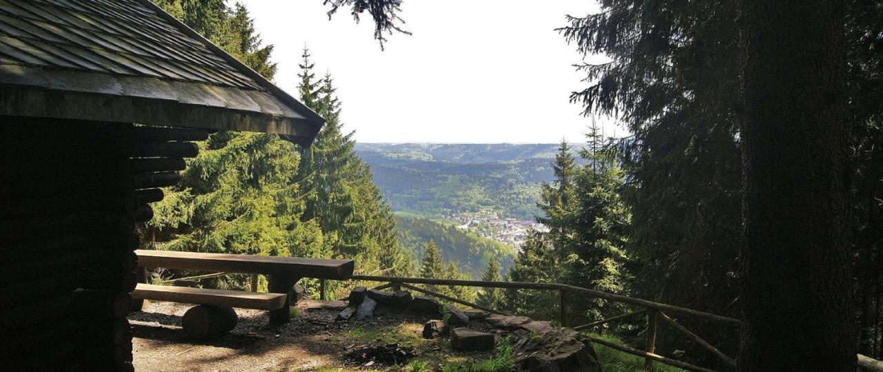 Ferienwohnung Klaus Im Tal Der Steinach Steinach  Kültér fotó